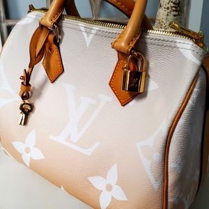 LOUIS VUITTON PURSE